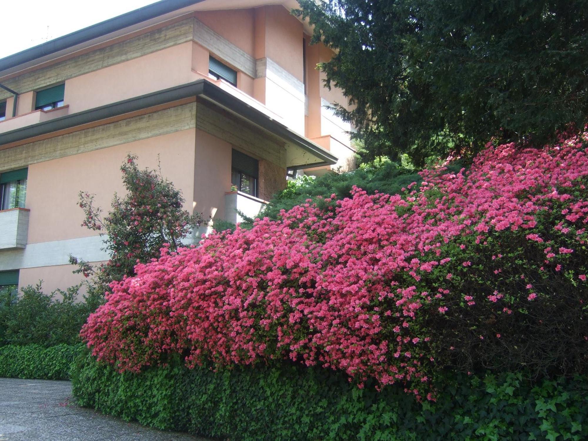 Hotel Canturio Buitenkant foto
